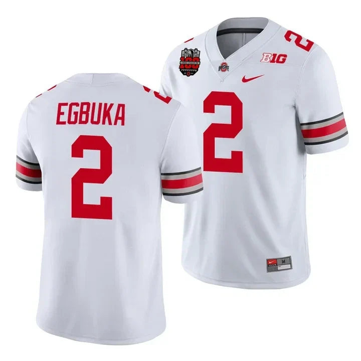 Men's Ohio State Buckeyes Version 2023 Player Jersey – All Stitched