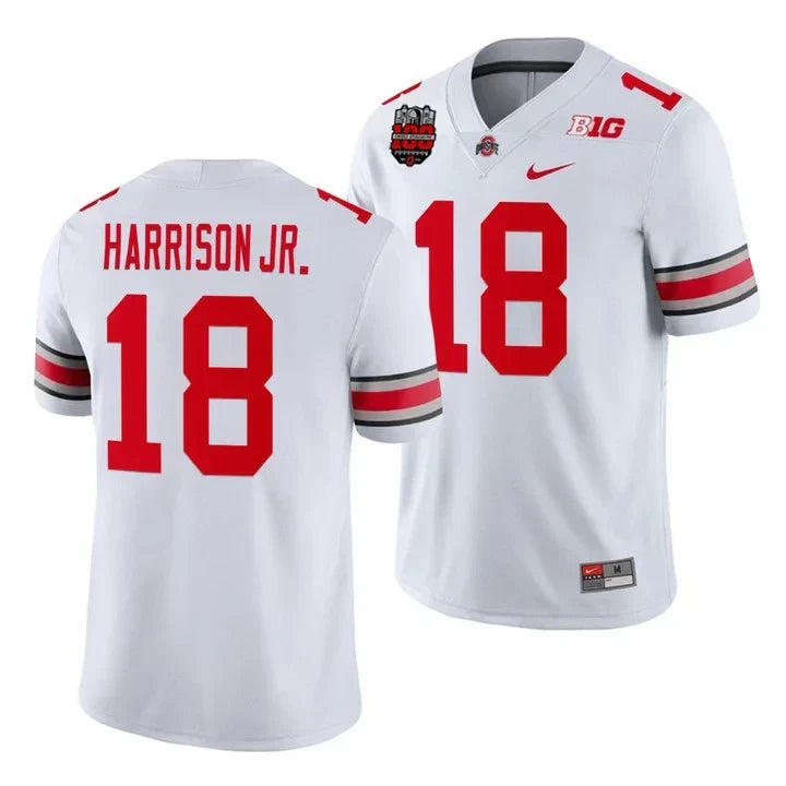Men's Ohio State Buckeyes Version 2023 Player Jersey – All Stitched